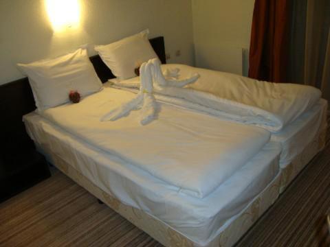 ריבריקה Spa Hotel Planinata חדר תמונה
